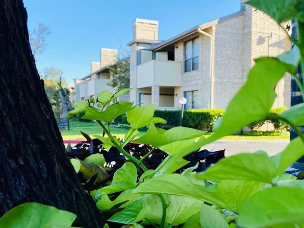 11843 BRAESVIEW #1413, San Antonio, TX 78213