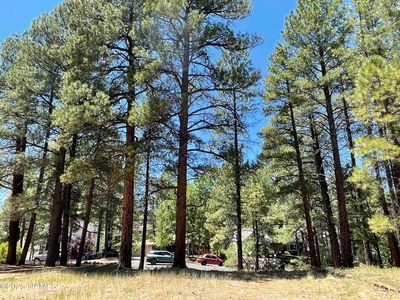 837 W Coy Dr, Flagstaff, AZ, 86005