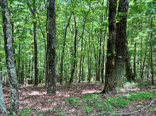 Ltg67 68 Mountain Oak Rd, Ellijay, GA 30536