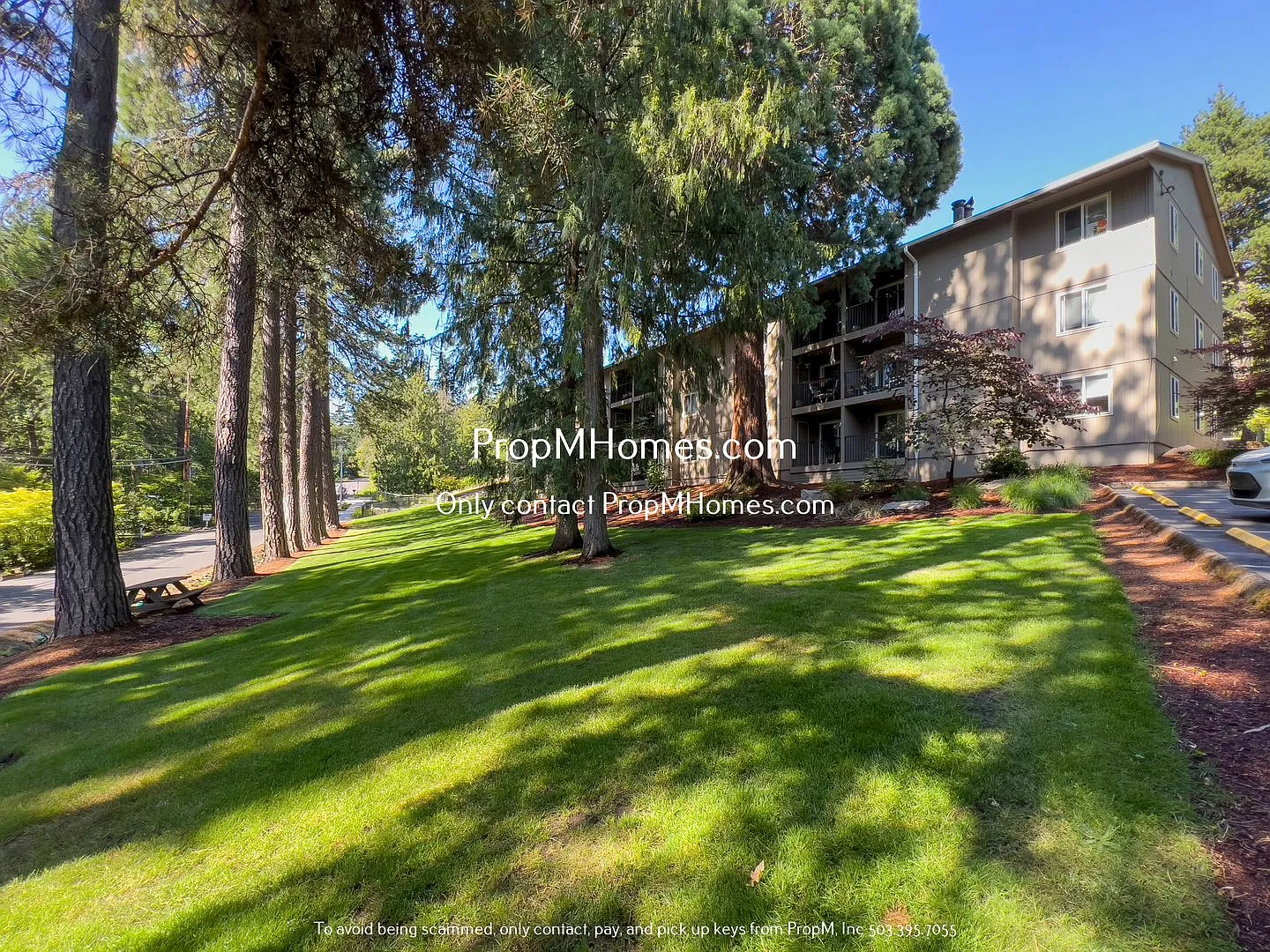 Bright One Bedroom Condo in West Slope! — Photo 1