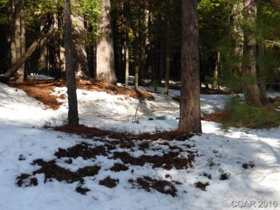 1749 Medina Dr, Arnold, CA, 95223