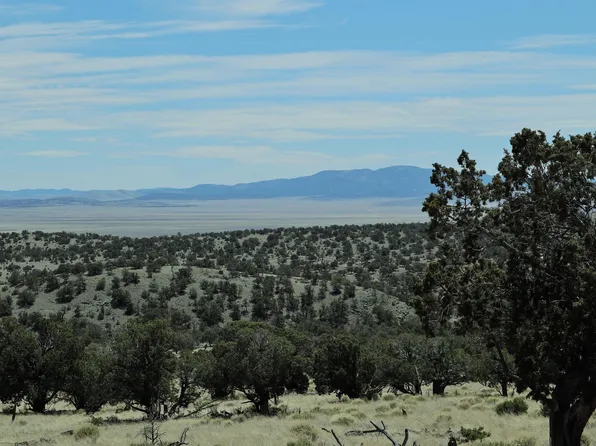 44 Rock Springs Loop, Datil, NM 87821