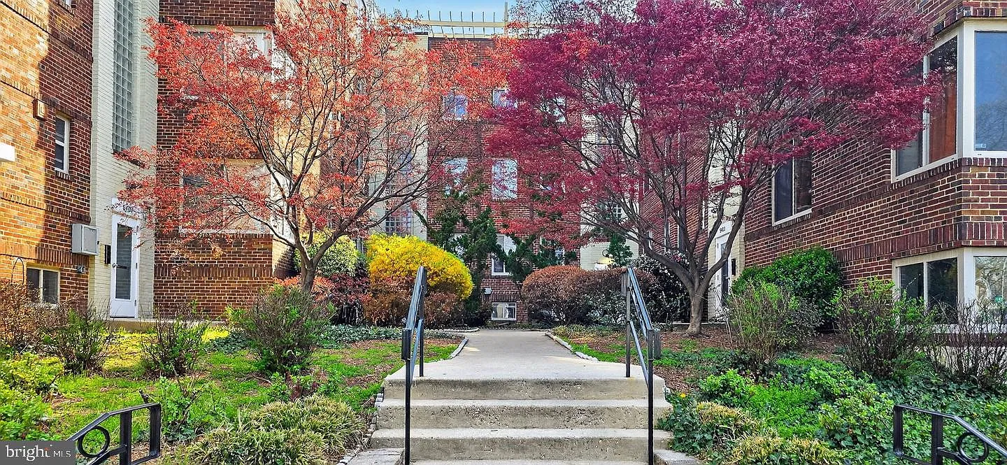 1 bed, 1.0 bath, 720 sqft, $2,950 — Photo 3