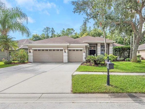 10326 Millport Dr, Tampa, FL 33626