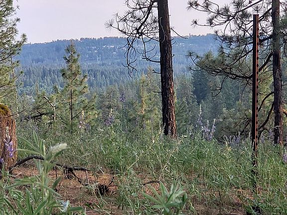 View South to 5-Mile 