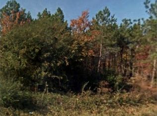 1948 Buffalo Lake Rd, Sanford, NC 27332