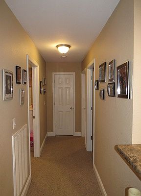 4th image of 224 Sweet Birch Dr