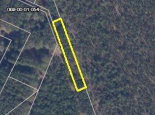 Arcadia Rd, Blenheim, SC 29516