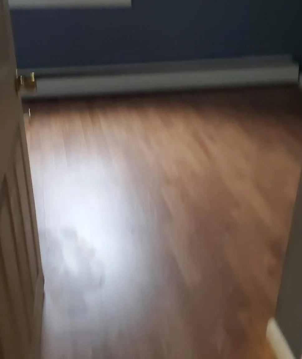 3 bed, $2,000 — Photo 3