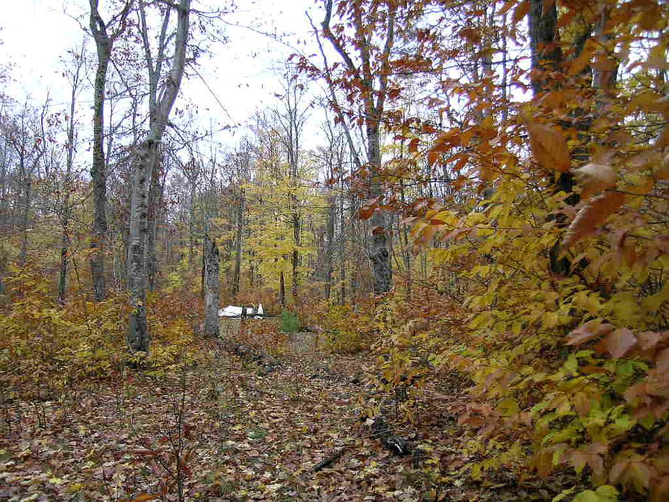 1st image of 15 Island Hideaway Trl