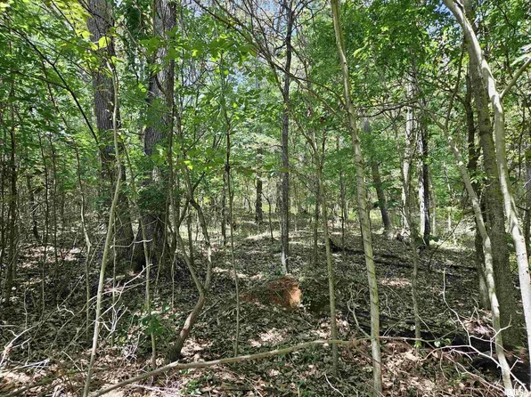 0 Independence Rd, Brookport, IL 62910