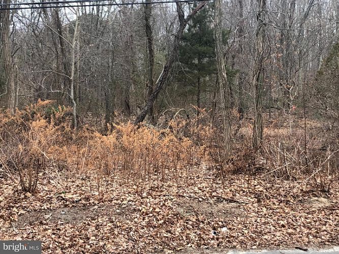2nd image of McBride Rd