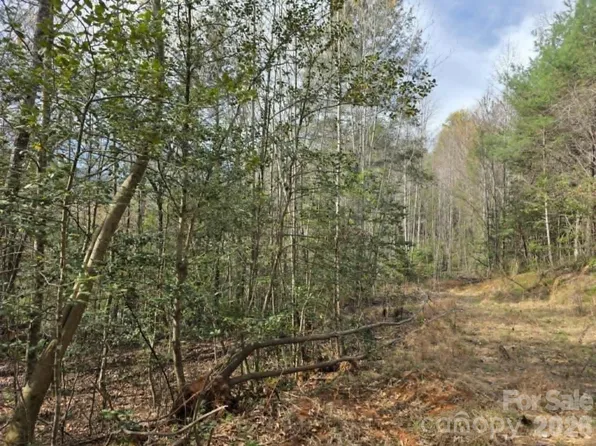 5 Kerlee Ln, Old Fort, NC 28762