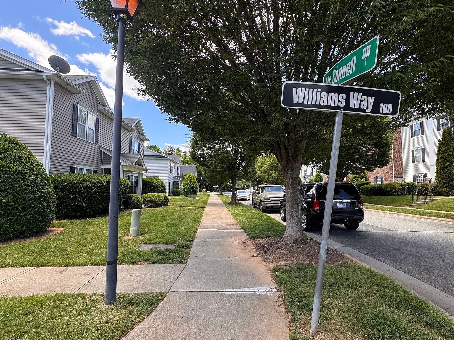 2 bed, 993 sqft, $1,250 — Photo 3