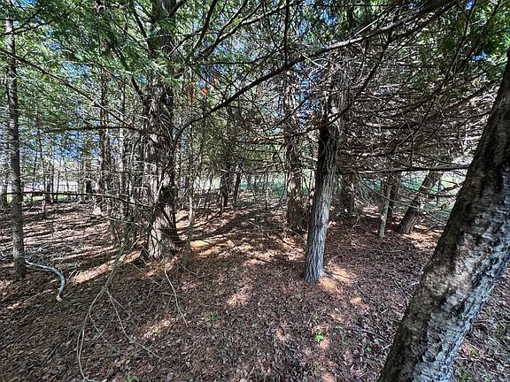 5th image of LOT 230 Kings Way