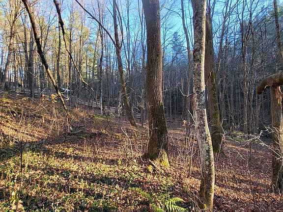 4th image of 535 Collar Hill Road