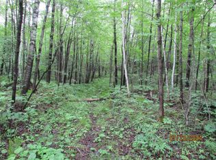 W5406 Bare Acres Ln, Phillips, WI 54555