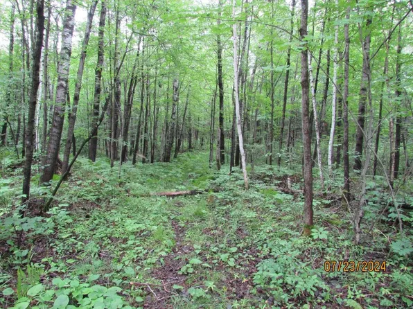 W5406 Bare Acres Ln, Phillips, WI 54555