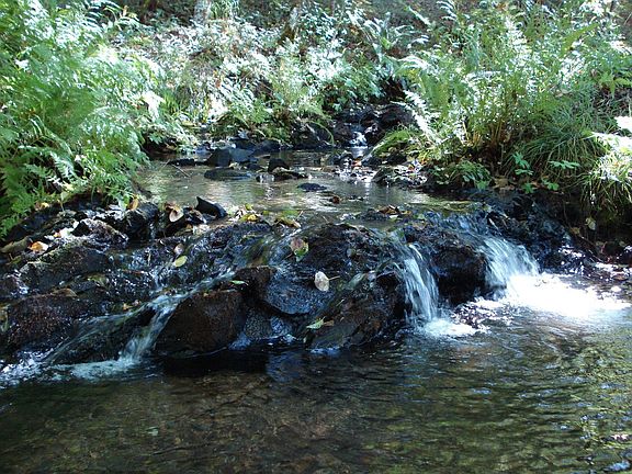 VALUE IN PROPERTY/WATER AREAS
