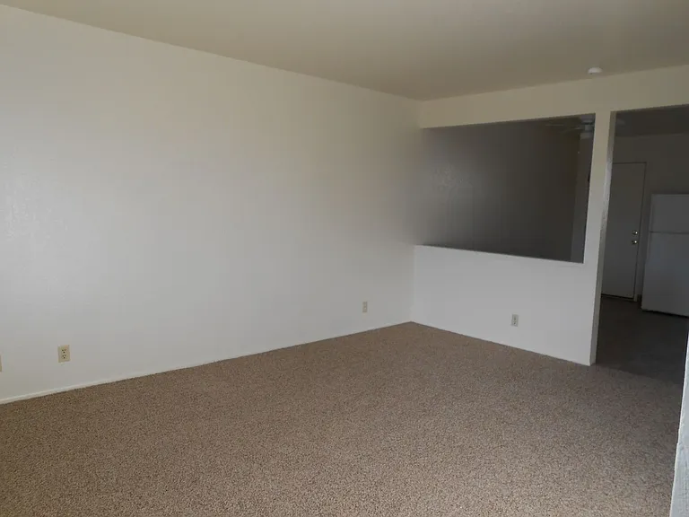 835 Shiloh Ct — Photo 12