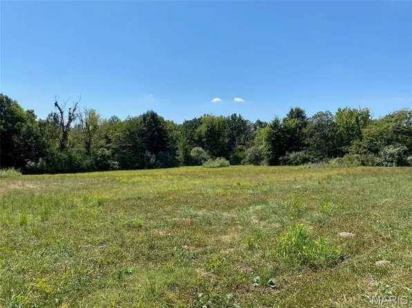 32 Cedar Cv, Winfield, MO 63389