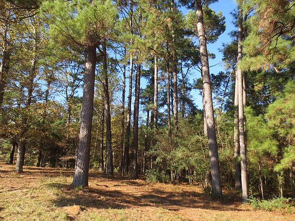 5th image of 1304 Highway 589 Lot Wp001