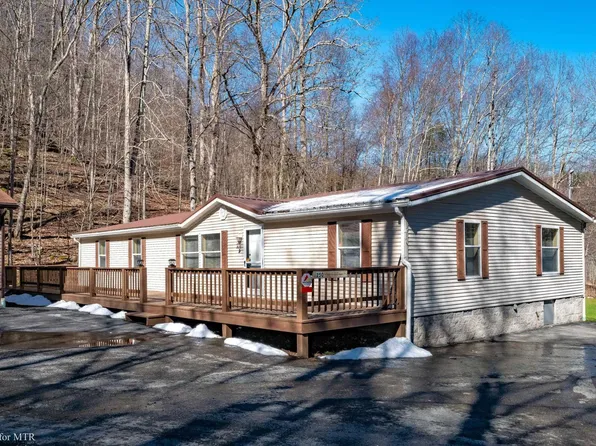 250 Snyder Mountain Rd, Harman, WV 26270
