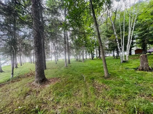 Rock Point Dr, Walker, MN 56484
