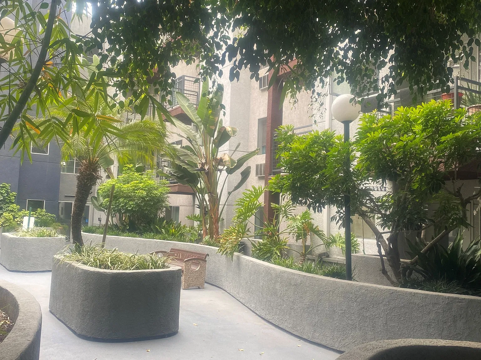 San Lucas Apartments Age 62+ — Photo 2