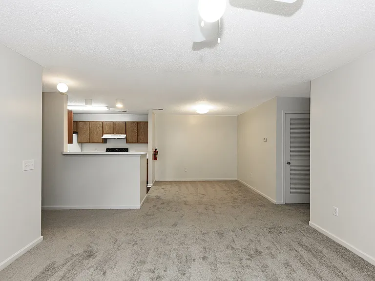Spacious living room with carpet