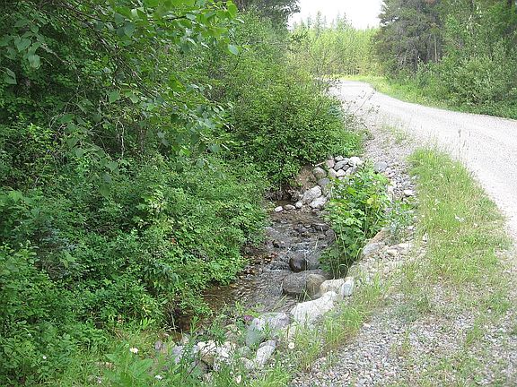 From culvert looking north.