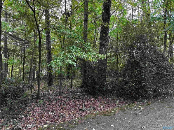 LOT 5&6 Hillcrest Dr NW, Fort Payne, AL 35967