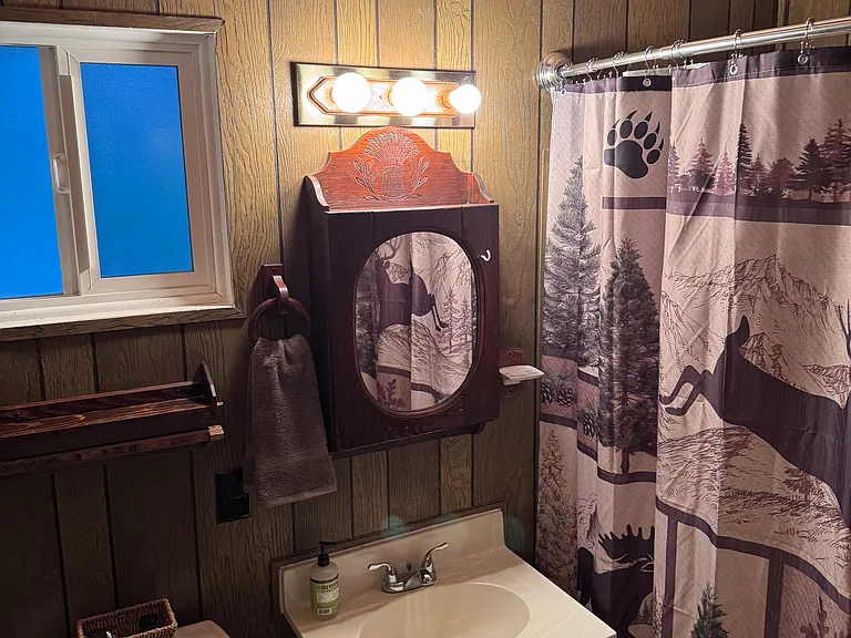 24035 Pine Lake Dr — Photo 12