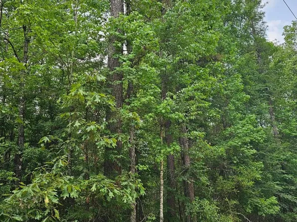 0 Sagamore Ln, Columbia, LA 71418