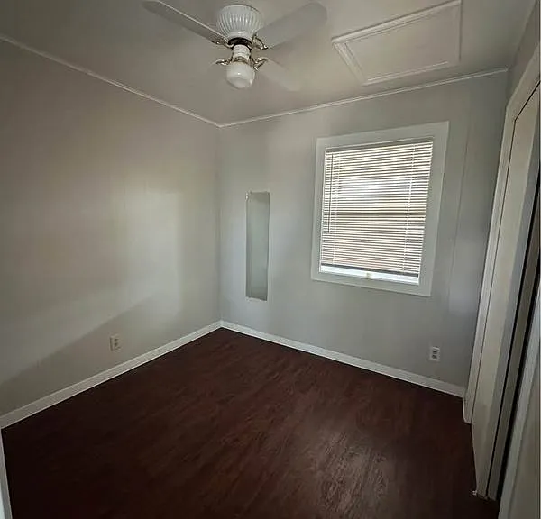 381 Timberline Trl — Photo 8