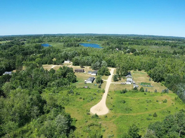 20398 Freedom Dr, Pierson, MI 49339