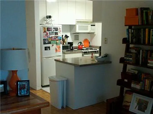 Rented by Furumoto Realty of New York City Inc | media 17