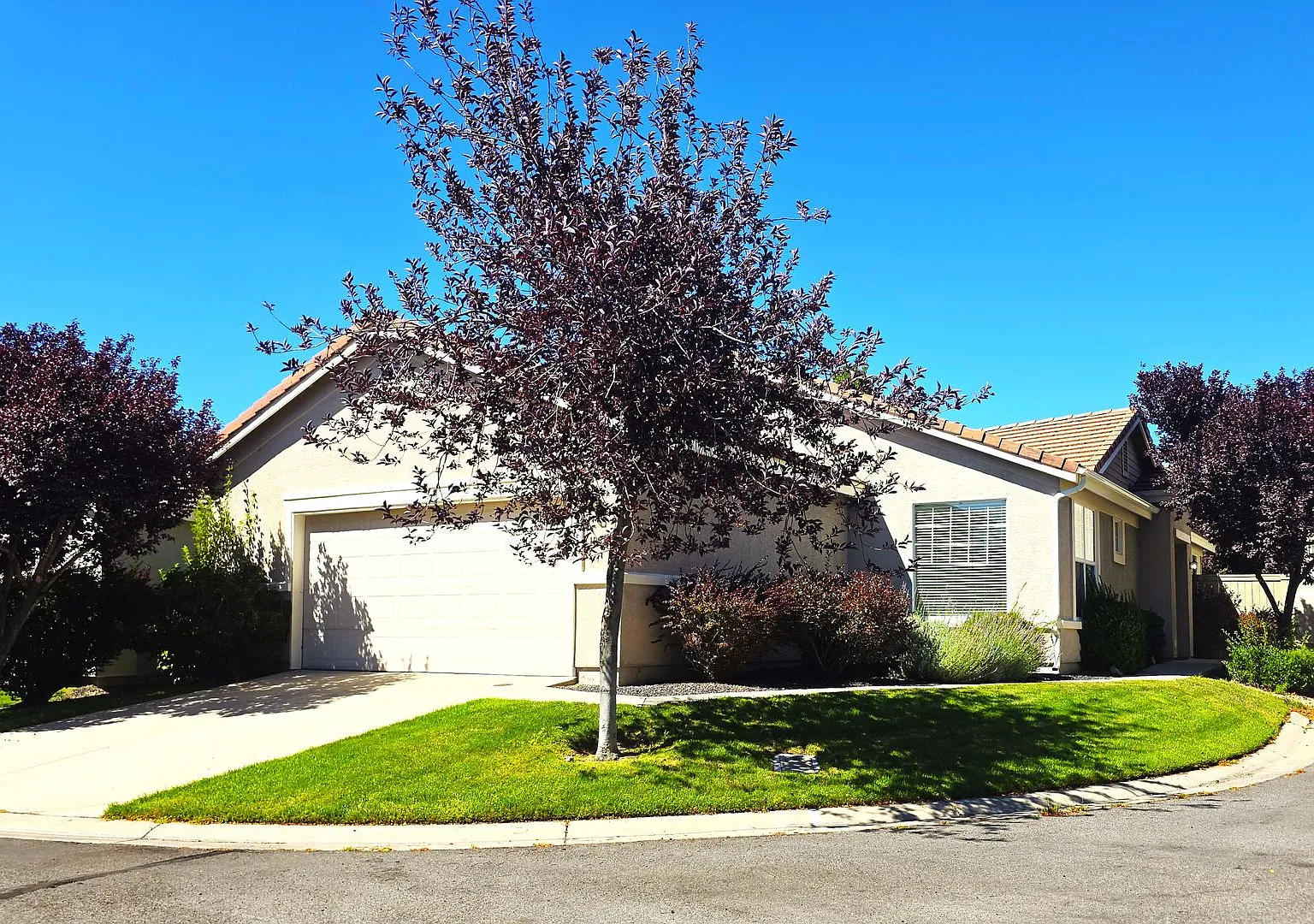Single-Story 3 Bed, 2 Bath Home in Gated Double Diamond Community Pool, Gym & 2-Car Garage — Photo 2