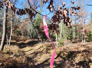 Vl West Trl #6545, Baldwin, MI 49304