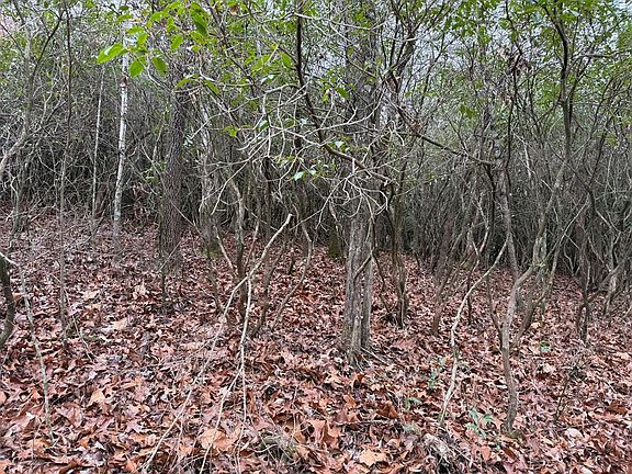 5th image of 23 Ideal Acres Rd