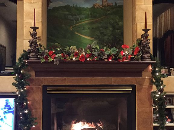 Gas Fireplace in Family Room
