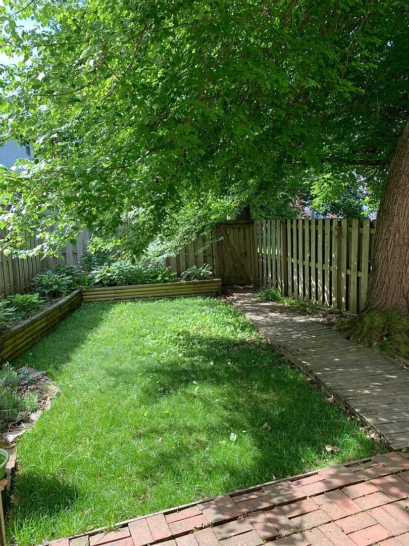 3 Bedroom 1 full, 2 half bath Townhouse — Photo 3