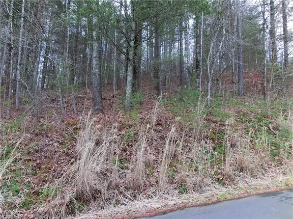 99999 Judith Dr, Leicester, NC 28748