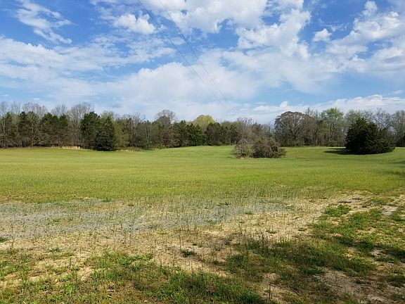 2nd image of 989 Britton Springs Rd