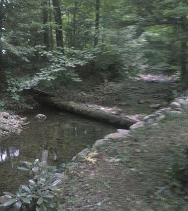 5th image of 2311 Highway 107