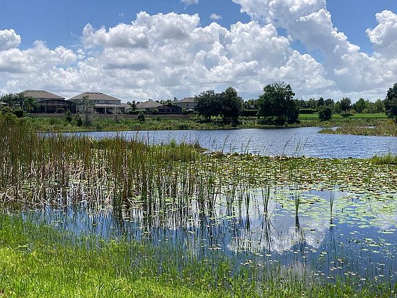 George’s Lake (From West)