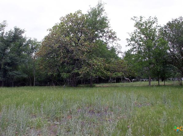 7887 Pettytown Rd, Red Rock, TX 78662