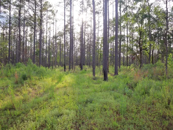 Highway 9, Bruce, MS 38915