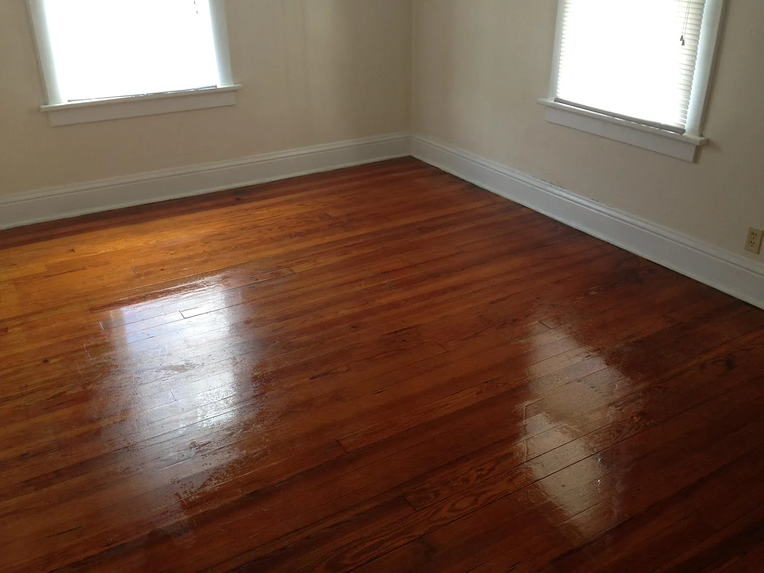 1024 Talbot Ave — Photo 3
