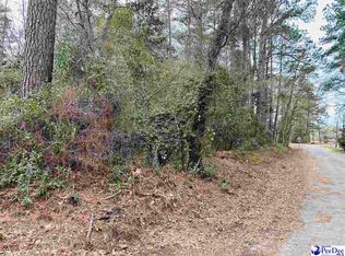 Williamsburg Ave, Olanta, SC 29114